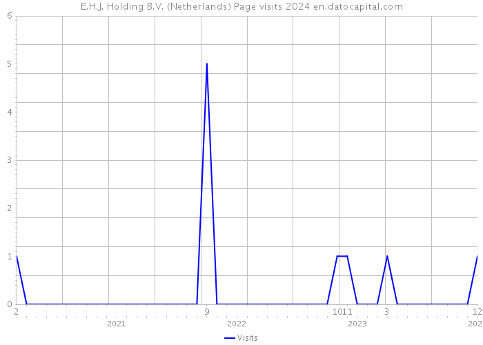 E.H.J. Holding B.V. (Netherlands) Page visits 2024 