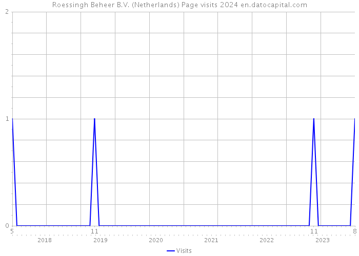 Roessingh Beheer B.V. (Netherlands) Page visits 2024 