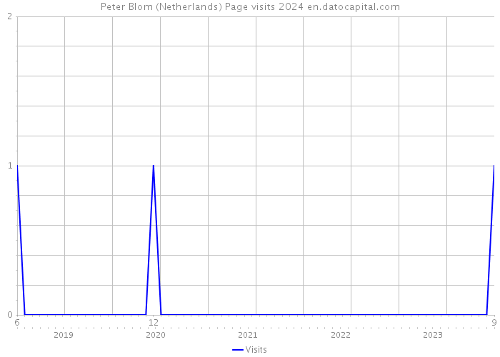 Peter Blom (Netherlands) Page visits 2024 