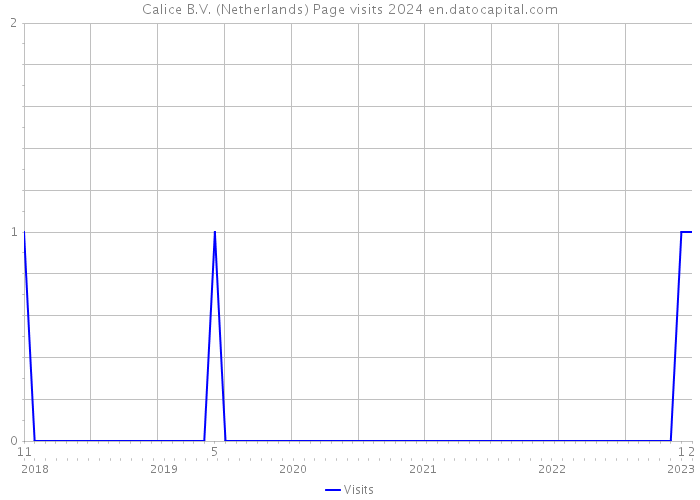 Calice B.V. (Netherlands) Page visits 2024 