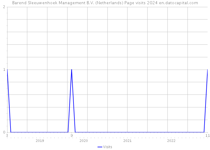 Barend Sleeuwenhoek Management B.V. (Netherlands) Page visits 2024 