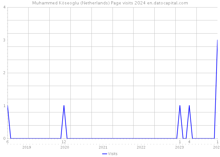 Muhammed Köseoglu (Netherlands) Page visits 2024 