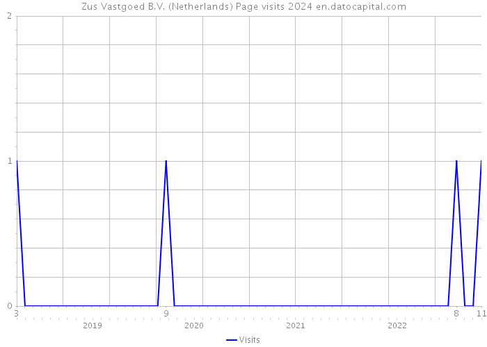 Zus Vastgoed B.V. (Netherlands) Page visits 2024 