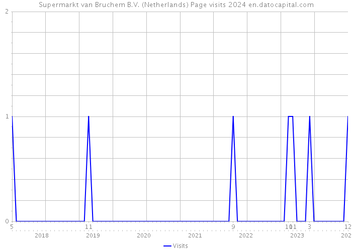 Supermarkt van Bruchem B.V. (Netherlands) Page visits 2024 