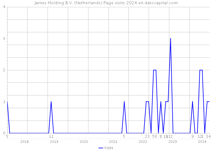 James Holding B.V. (Netherlands) Page visits 2024 