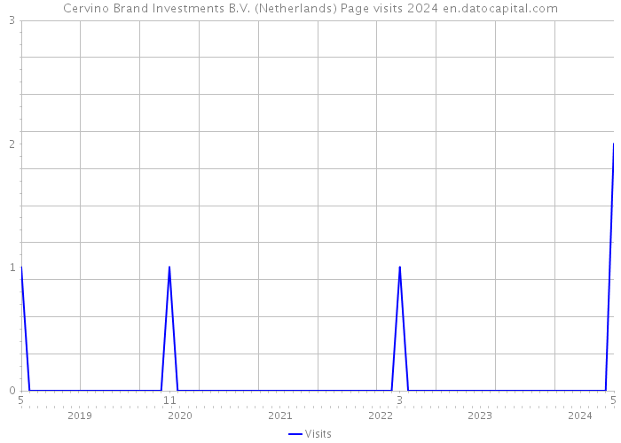 Cervino Brand Investments B.V. (Netherlands) Page visits 2024 