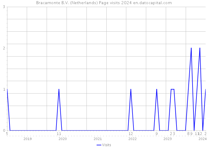 Bracamonte B.V. (Netherlands) Page visits 2024 