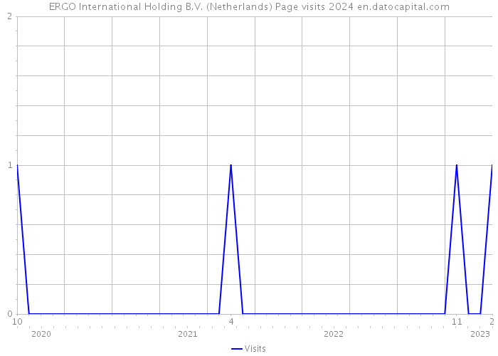 ERGO International Holding B.V. (Netherlands) Page visits 2024 