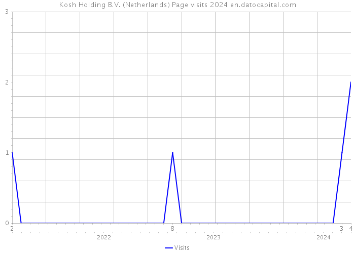Kosh Holding B.V. (Netherlands) Page visits 2024 