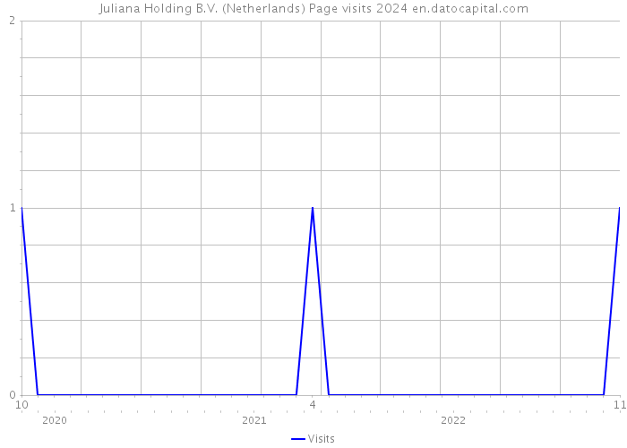 Juliana Holding B.V. (Netherlands) Page visits 2024 