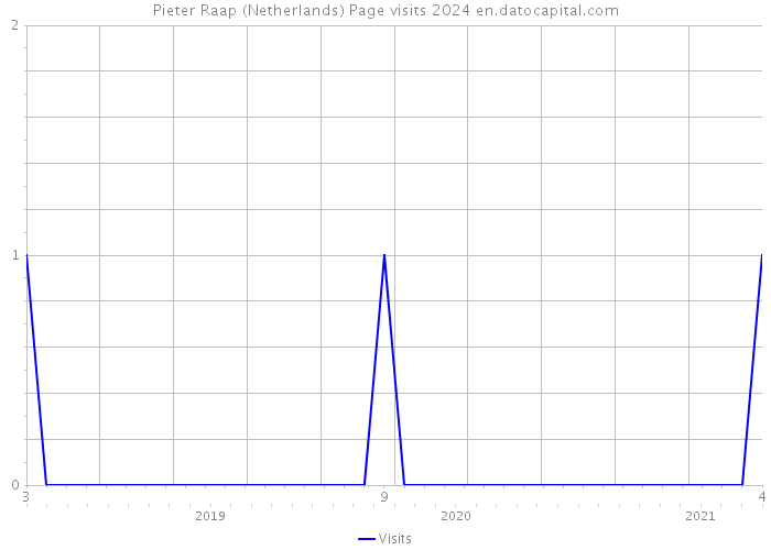 Pieter Raap (Netherlands) Page visits 2024 