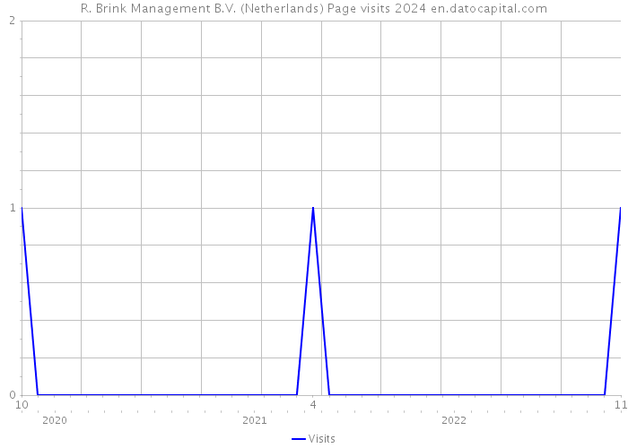 R. Brink Management B.V. (Netherlands) Page visits 2024 