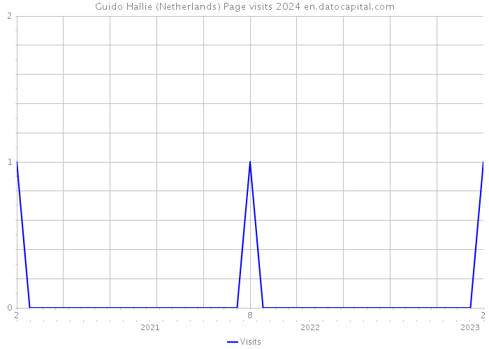 Guido Hallie (Netherlands) Page visits 2024 