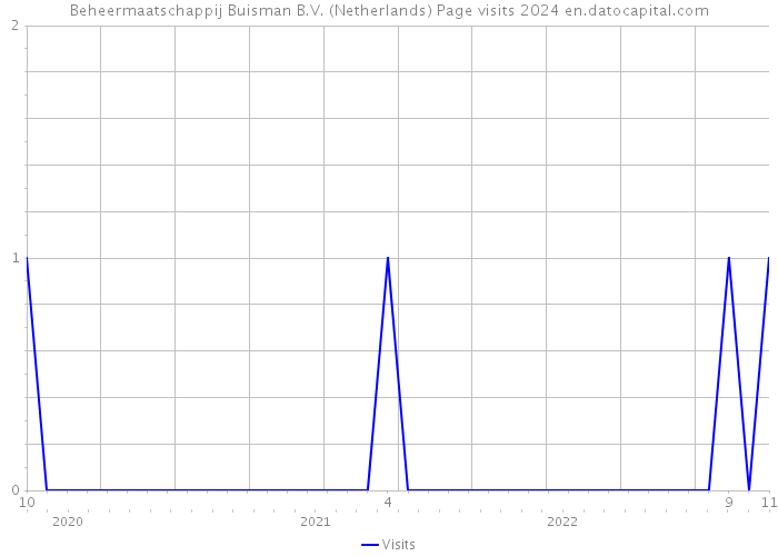 Beheermaatschappij Buisman B.V. (Netherlands) Page visits 2024 