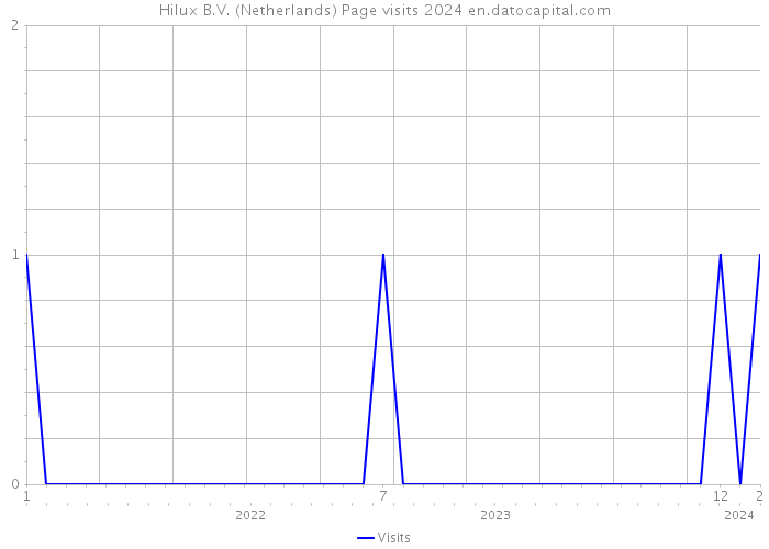 Hilux B.V. (Netherlands) Page visits 2024 