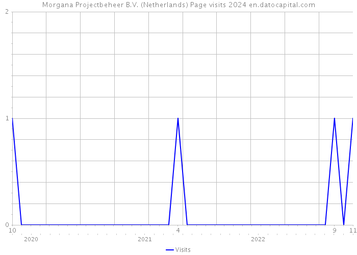 Morgana Projectbeheer B.V. (Netherlands) Page visits 2024 
