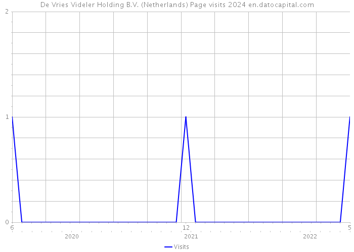De Vries Videler Holding B.V. (Netherlands) Page visits 2024 