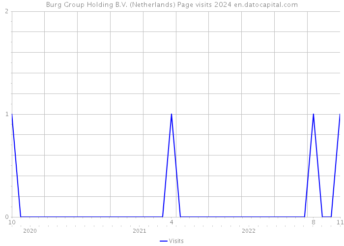 Burg Group Holding B.V. (Netherlands) Page visits 2024 
