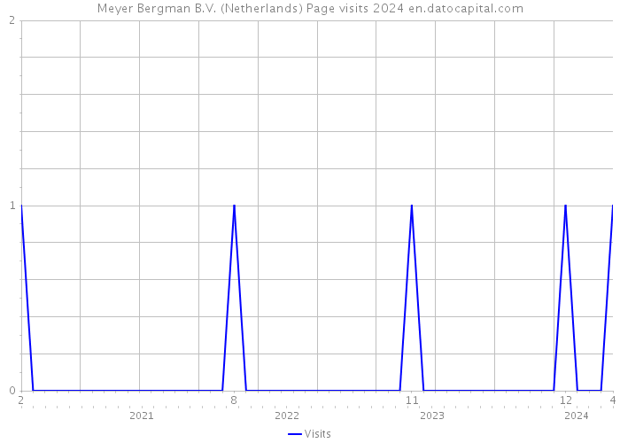 Meyer Bergman B.V. (Netherlands) Page visits 2024 