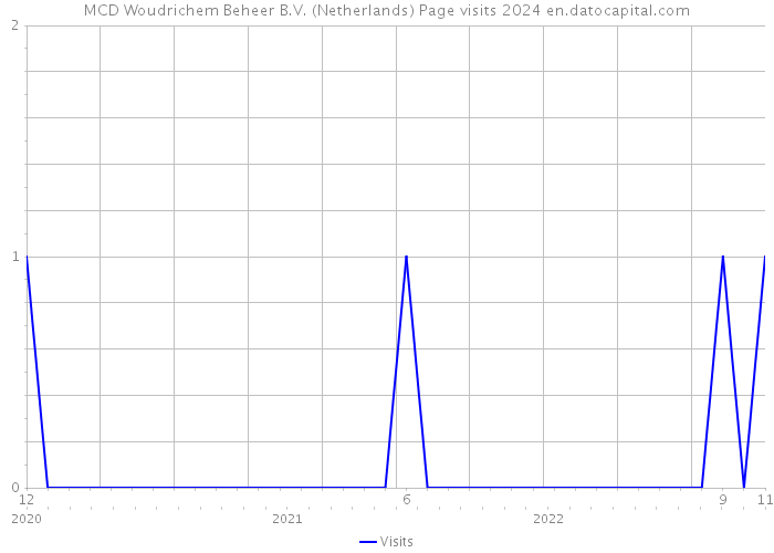 MCD Woudrichem Beheer B.V. (Netherlands) Page visits 2024 