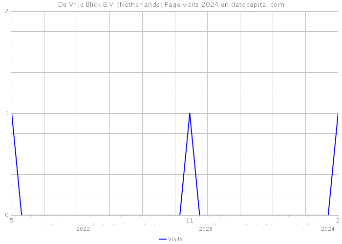 De Vrije Blick B.V. (Netherlands) Page visits 2024 