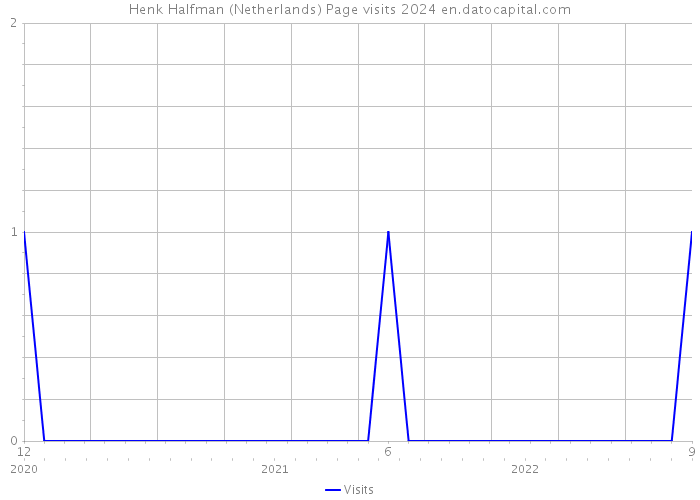 Henk Halfman (Netherlands) Page visits 2024 