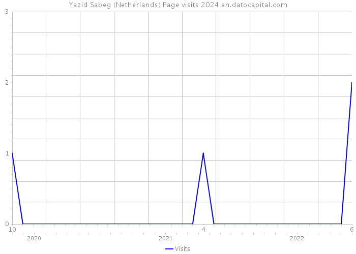 Yazid Sabeg (Netherlands) Page visits 2024 