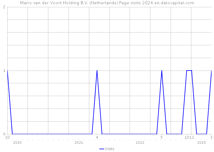 Mario van der Voort Holding B.V. (Netherlands) Page visits 2024 