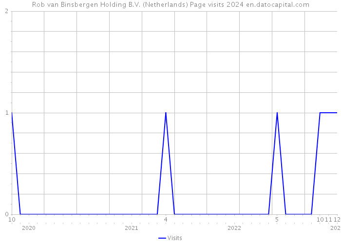 Rob van Binsbergen Holding B.V. (Netherlands) Page visits 2024 