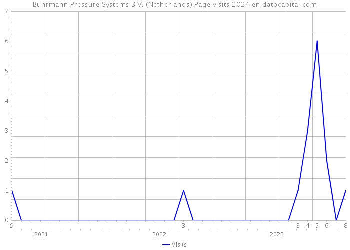 Buhrmann Pressure Systems B.V. (Netherlands) Page visits 2024 