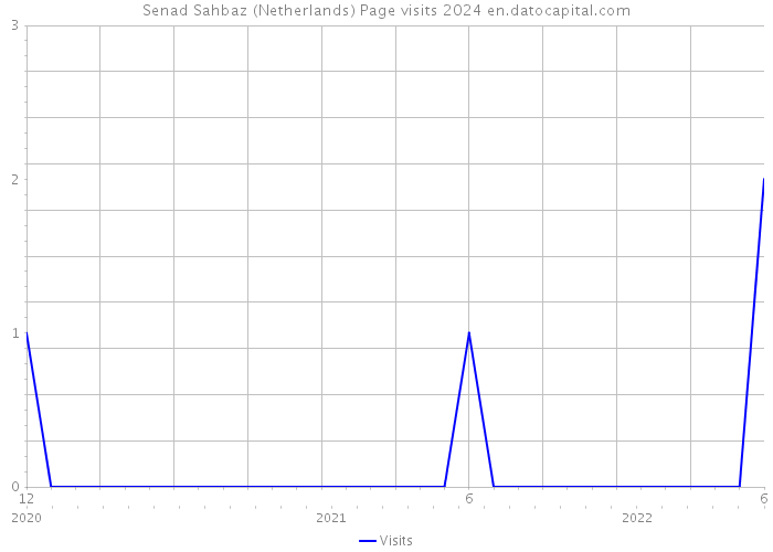 Senad Sahbaz (Netherlands) Page visits 2024 