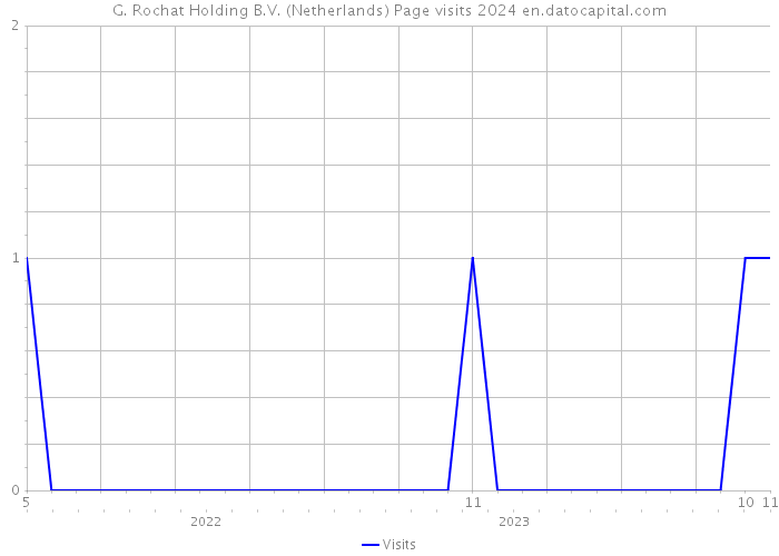 G. Rochat Holding B.V. (Netherlands) Page visits 2024 