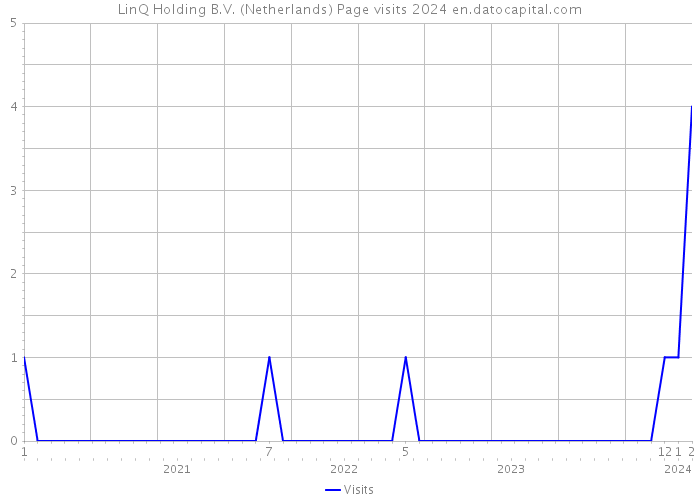 LinQ Holding B.V. (Netherlands) Page visits 2024 