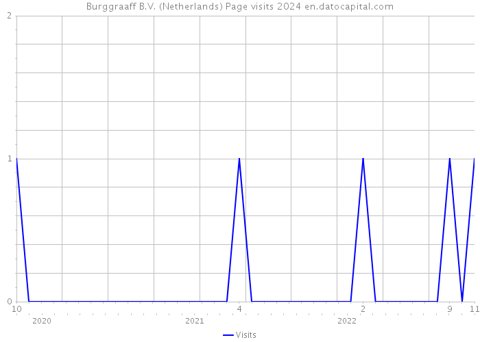 Burggraaff B.V. (Netherlands) Page visits 2024 