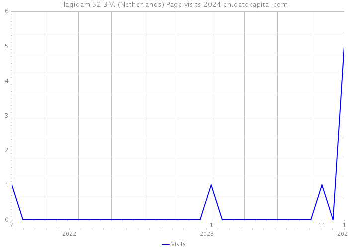 Hagidam 52 B.V. (Netherlands) Page visits 2024 