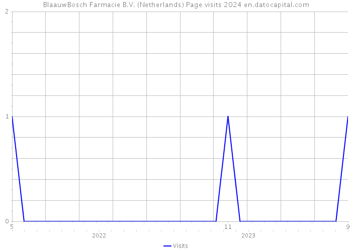 BlaauwBosch Farmacie B.V. (Netherlands) Page visits 2024 