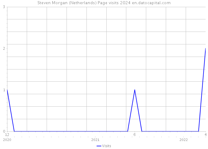 Steven Morgan (Netherlands) Page visits 2024 