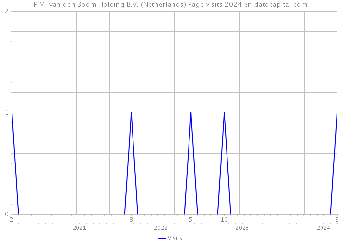 P.M. van den Boom Holding B.V. (Netherlands) Page visits 2024 