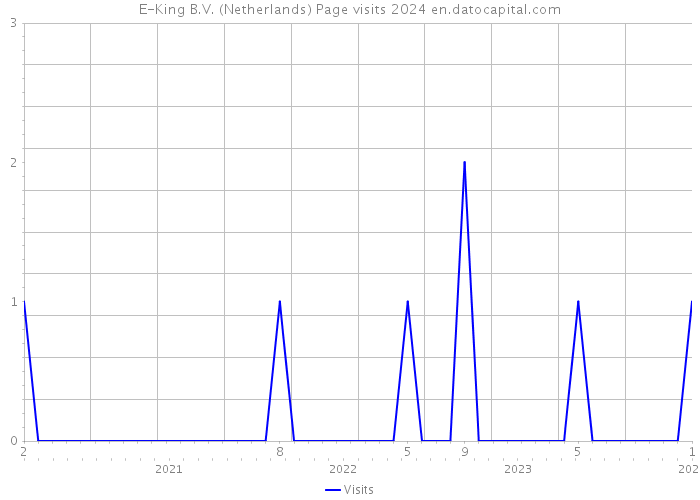 E-King B.V. (Netherlands) Page visits 2024 