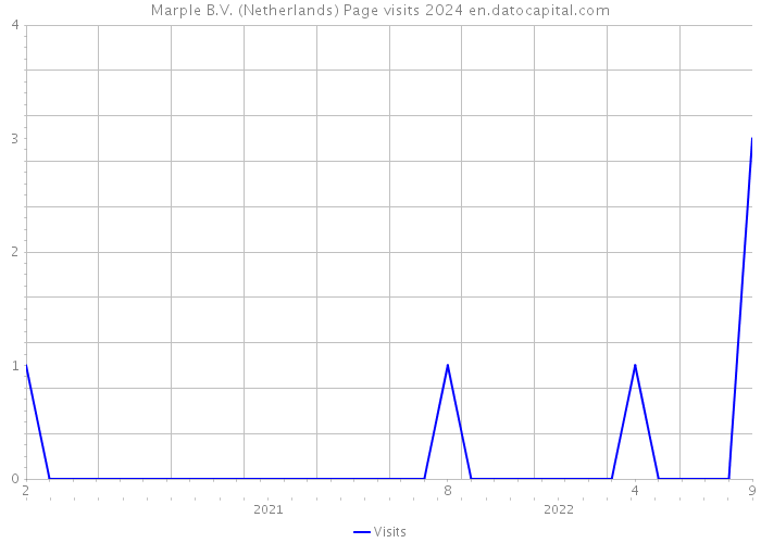 Marple B.V. (Netherlands) Page visits 2024 