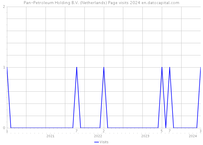 Pan-Petroleum Holding B.V. (Netherlands) Page visits 2024 