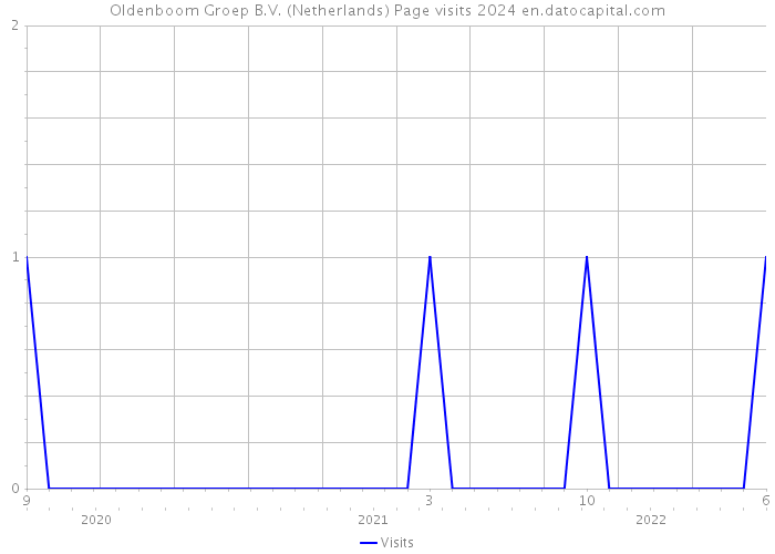 Oldenboom Groep B.V. (Netherlands) Page visits 2024 