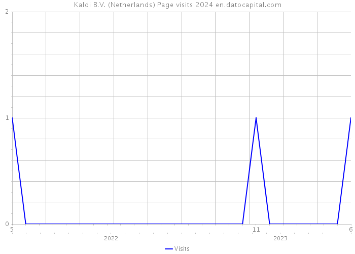 Kaldi B.V. (Netherlands) Page visits 2024 