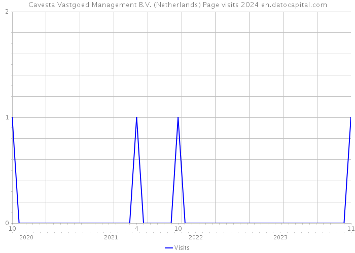 Cavesta Vastgoed Management B.V. (Netherlands) Page visits 2024 