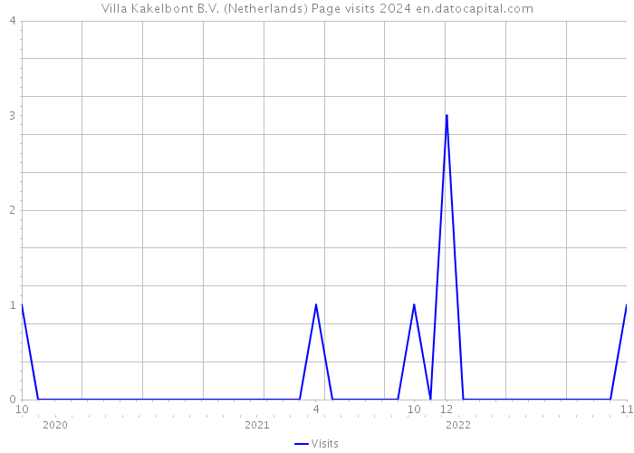 Villa Kakelbont B.V. (Netherlands) Page visits 2024 