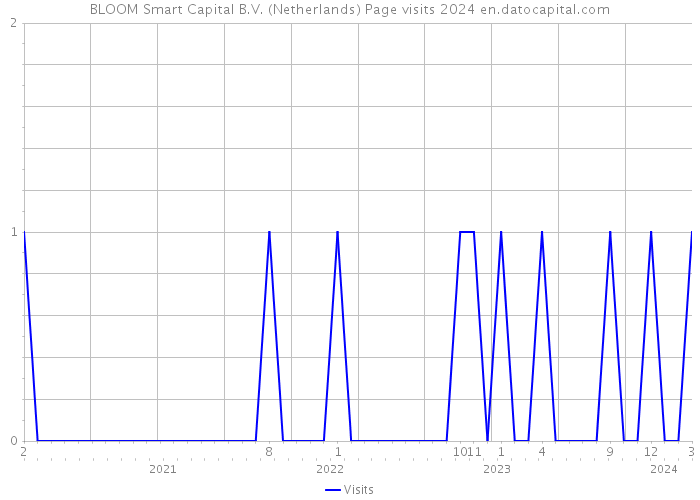 BLOOM Smart Capital B.V. (Netherlands) Page visits 2024 