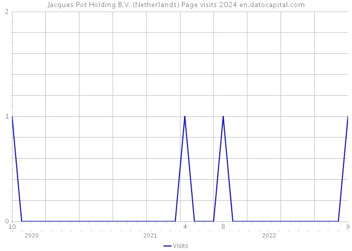 Jacques Pot Holding B.V. (Netherlands) Page visits 2024 