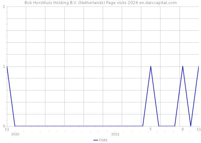 Bob Horsthuis Holding B.V. (Netherlands) Page visits 2024 