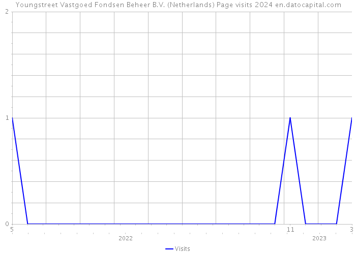 Youngstreet Vastgoed Fondsen Beheer B.V. (Netherlands) Page visits 2024 