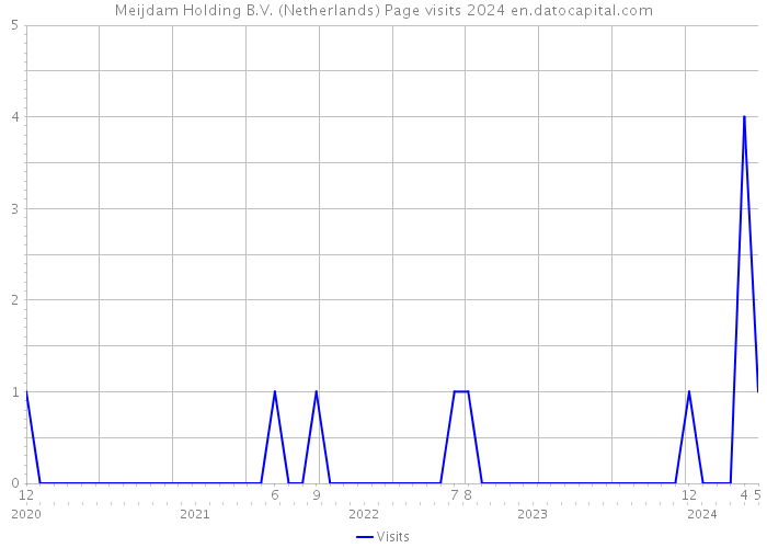 Meijdam Holding B.V. (Netherlands) Page visits 2024 